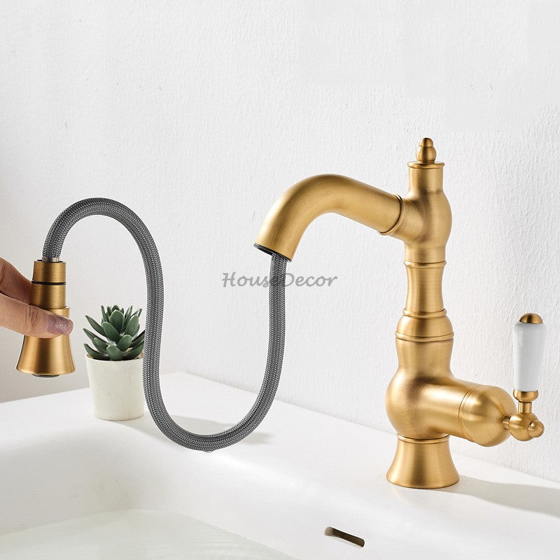 Modern Brass bathroom basin mixer tap pull out spray detail view